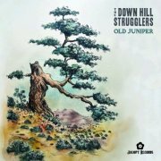 The Down Hill Strugglers - Old Juniper (2024) [Hi-Res]