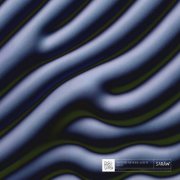 Root - Pattern Memory (2026)