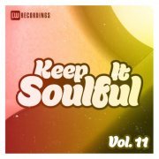 VA - Keep It Soulful, Vol. 11 (2023) FLAC