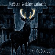 Pattern-Seeking Animals - Only Passing Through (Bonus Track Edition) (2022) Hi Res