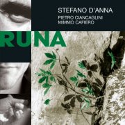 Stefano D'anna Trio - Runa (2004)