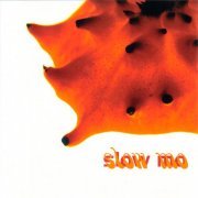 VA - Slow Mo (1998) [CD-Rip]