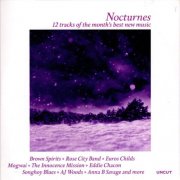 VA - Nocturnes (12 Tracks of the Month’s Best New Music) (2024)