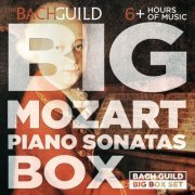 Jeffrey Biegel - Big Mozart Piano Sonatas Box (2015)