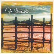 Gin Blossoms - Outside Looking In: The Best Of The Gin Blossoms (1998)