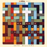 Seth Williams - I'll Never Live up to This (2017)