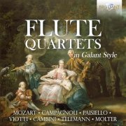 Andrea Manco, Joel Imperial, Gianluca Muzzolon, Andrea Pecolo, Il Demetrio, Gabriele Formenti - Flute Quartets in Galant Style (2024) [Hi-Res]