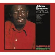 Johnny Hammond - Wild Horses Rock Steady (1972)