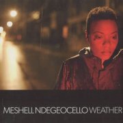 Meshell Ndegeocello - Weather (2011)