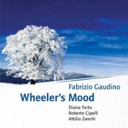 Fabrizio Gaudino - Wheeler's Mood (2013)