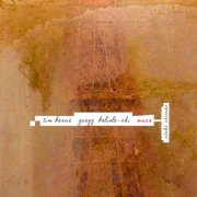 Tim Berne & Gregg Belisle-Chi - Mars (2022) [Hi-Res]