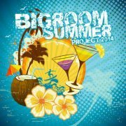 Bigroom Summer Project 2014 (2014)