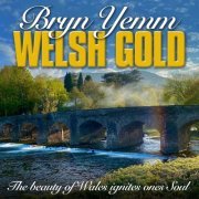 Bryn Yemm - Welsh Gold (2021)