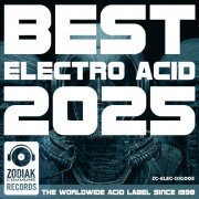 VA - Best Electro Acid 2025 (2025)