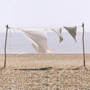 Bev Lee Harling – Ploughing The Salt Sea (2025) Hi-Res