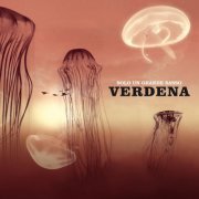 Verdena - Solo un grande sasso (2001)