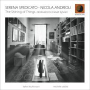 Serena Spedicato - The Shining of Things (Dedicated to David Sylvan) (2019)