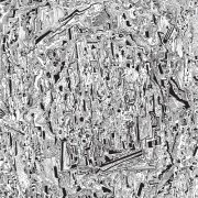 Asger Thomsen - RHIZOM (2025) Hi-Res