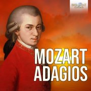 Oskar Michallik, Staatskapelle Dresden, Siegfried Kurz, Derek Han, Philharmonia Orchestra, Paul Freeman, Johannes Walter, Herbert Blomstedt, Alfred Tolkdorf - Mozart: Adagios (2025)