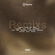 VA - Remixs [RAM02] (2024)