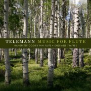 Ensemble Fratres & Hanspeter Oggier - Telemann: Music for Flute (2016) [Hi-Res]