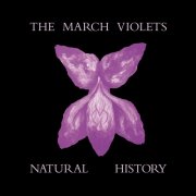 The March Violets - Natural History (2026) [Hi-Res]