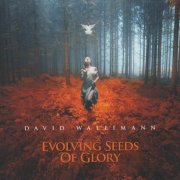 David Wallimann - Evolving Seeds Of Glory (2016)