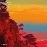 Tomas Sauter, Roland Koppel & Jorge Rossy - Sometimes Somewhere (2026) [Hi-Res]