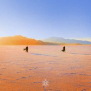 Praana - Insight Out (2026)