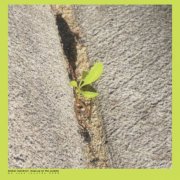 Booker Stardrum - Close-up On The Outside (2026) [Hi-Res]