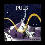 Otto Normal - Puls (2019) [Hi-Res]