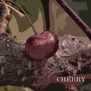 Charles Aznavour - Cherry (2021)