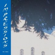 Ducktails - Impressions (2021)