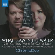 ChromaDuo - What I Saw in the Water (2024) [Hi-Res]