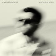 New Street Adventure - What Kind Of World? (2025) [Hi-Res]
