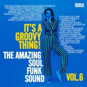 VA - It's A Groovy Thing! Vol. 6 (The Amazing Soul Funk Vocal Sound) (2025)