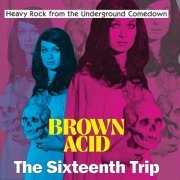 VA - Brown Acid - The Sixteenth Trip (2023) Hi-Res