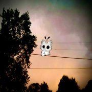 Kittysnail - Caterwaul Window (2025)