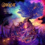 Oddleaf - Where Ideal and Denial Collide (2024)