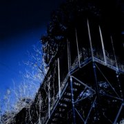 The Black Twigs - Midnight Has Come And Gone (2005)