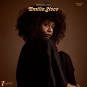 Emilia Sisco & Cold Diamond & Mink - Introducing (2024) [Hi-Res]