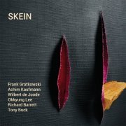 Frank Gratkowski, Achim Kaufmann, Wilbert de Joode, Okkyung Lee, Richard Barrett, Tony Buck ‎- SKEIN (2014)