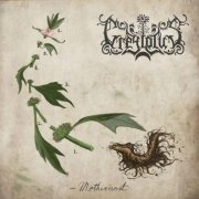 Greylotus - Motherwort (2024) Hi-Res