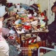 Eddy Current Suppression Ring - So Many Things (2011)