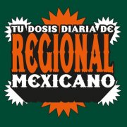 VA - Tu Dosis Diaria De Regional Mexicano (2024)