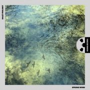 Baló Projekt - Spring Wind (2022) [Hi-Res]