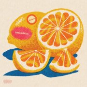 Maren Morris - D R E A M S I C L E (deluxe) (2025) [Hi-Res]