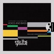 Voice And Bass - Into The Groove (2012) [Hi-Res]