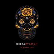 VA - Tulum by Night, Vol. 1 (The Deep House Collection) (2020)