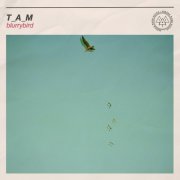T_a_m - Blurrybird (2025)
